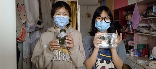 不“疫”样的清明节—经管系开展“送青团、送温暖”活动